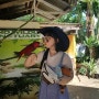 보라카이여행 - 2일차 - 자유일정, 섬일주, 미니동물원, 디몰투어