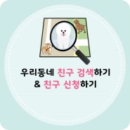 애견 친구 찾기_강아지 종류/성별, 보호자 연령/성별 및 지역별 산책 친구 찾기