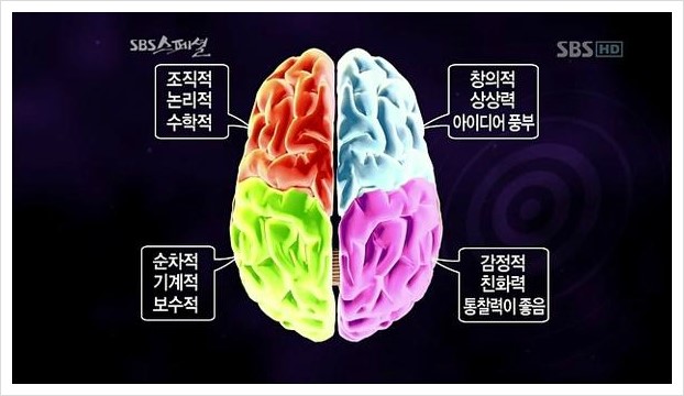 젤리맘의 홈스쿨링 프로젝트 84> 똑똑한 우리아이 우뇌 & 좌뇌 둘다 발달하는 방법. ♣젤리맘♣ : 네이버 블로그