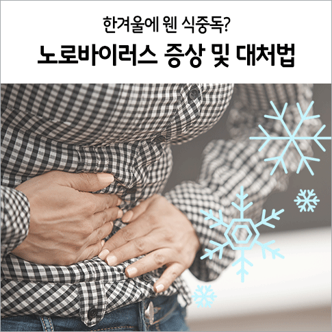 노로바이러스 원인부터 증상 치료 방법까지 : 네이버 블로그