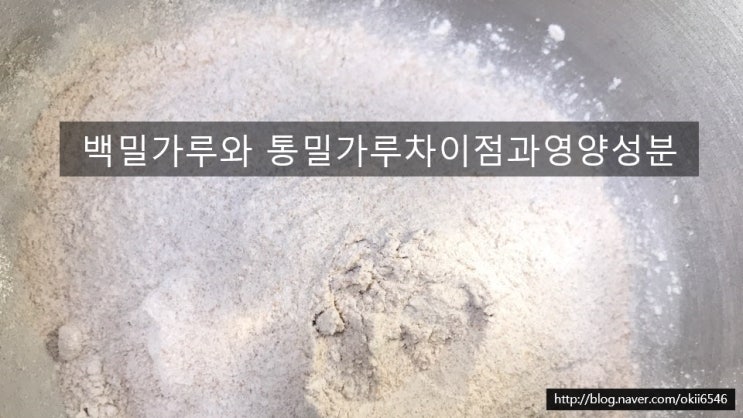 백밀가루와 통밀가루의 차이점/영양성분 알아보기 : 네이버 블로그