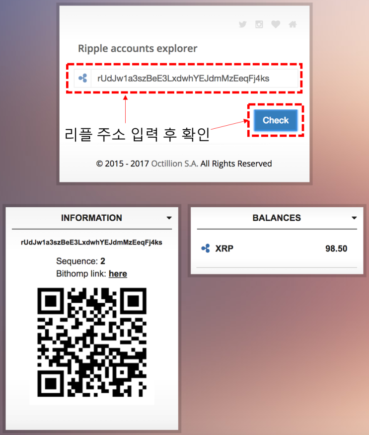암호화폐 리플 주소로 잔고를 확인하는 방법 - Bithomp : 네이버 블로그