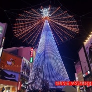 부산 가볼만한곳 : 남포동 부산 크리스마스트리 문화 축제에 다녀왔어요.