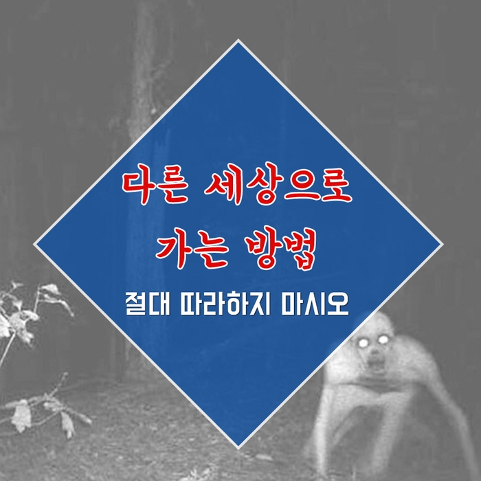 다른세계(평행세계)로 가는 방법 / 보기만 하고 실천하지는 말것! : 네이버 블로그