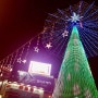 2017 Busan Christmas Tree Festival 남포동 크리스마스 트리 문화 축제 *