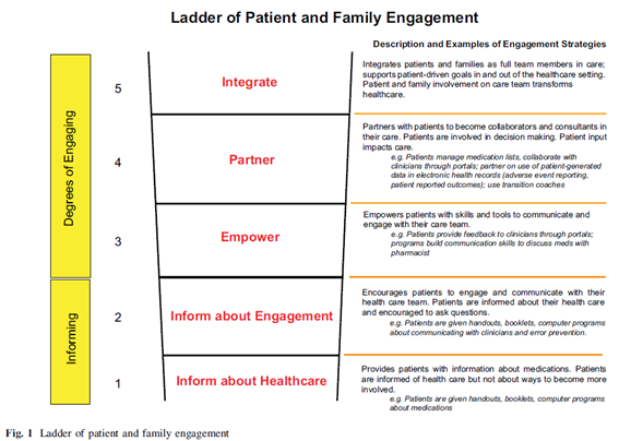 Evaluation of patient and family engagement strategies to improve ...