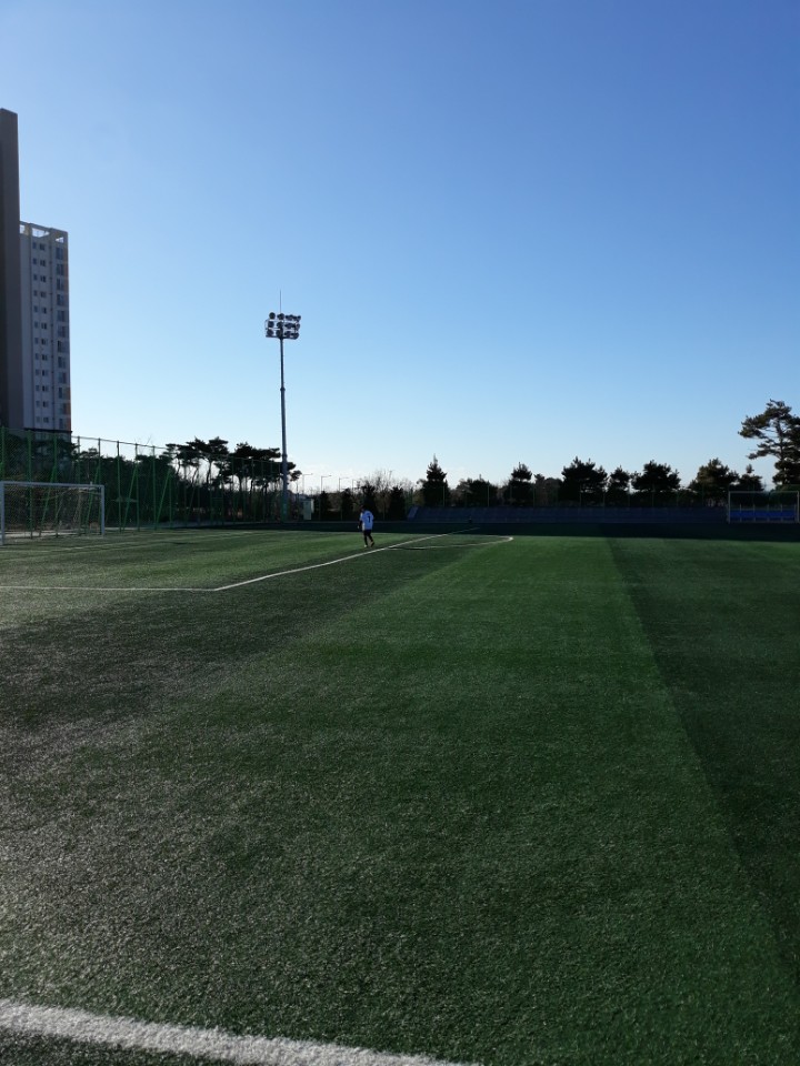 이서 지사울공원 인조잔디 축구장