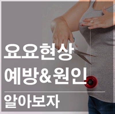 요요현상 안오는법 :: 요요현상 예방해봐요! : 네이버 블로그