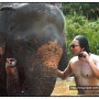 태국 여행 일곱째날 : 치앙마이 - 코끼리 생추어리, 말린 플라자 (Thailand 7 : Elephant sanctuary, Wat Lok Molee, Malin Plaza)