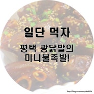 광닭발의 미니불족발에 반해버리죠~