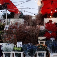 런던 여행 | 런던 꽃시장, 콜롬비아 로드 플라워 마켓