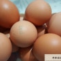 [3년 전 오늘] 오래 두고 먹을수 있는 계란보관법~신선한 달걀고르는법