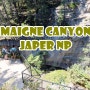 [Jasper] 재스퍼국립공원, 멀린 캐년(Maigne Canyon)의 6개의 다리 - 벤프의 존스톤캐년보다 멋진 곳! 여행지로 추천!