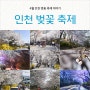 인천 벚꽃축제 가보고 싶은 4월 이야기