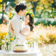 서울야외웨딩스냅, yellow autumn wedding 컨셉셀프웨딩스냅