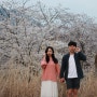 [국내여행 18.04.01] 창원대 호수 벚꽃명소 커플사진