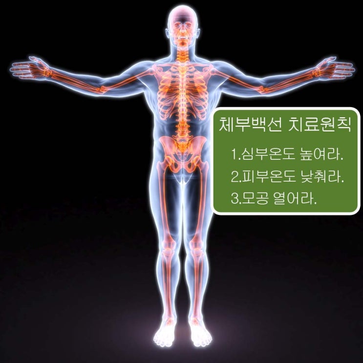 체부백선, 피부가 하얗게 두터워지는 이유? : 네이버 블로그