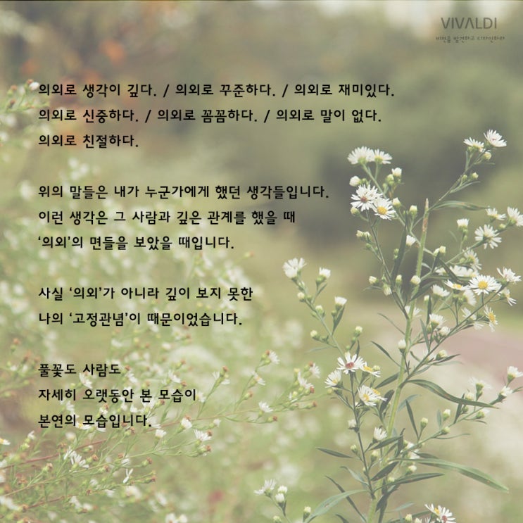 [나태주 풀꽃 / 짧은 시 모음] 오래보아야 예쁘다 : 네이버 블로그