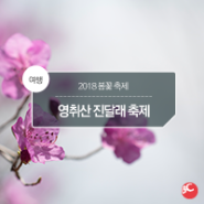 영취산 진달래 축제, 2018 봄꽃 축제