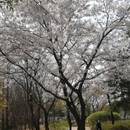 8개월만에 생존보고해요.^^