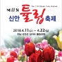제11회 신안 튤립축제 개최(4. 11. ~ 4. 22.)