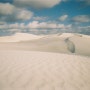 호주퍼스일상/필름사진-피너클스,white desert, hangover beach
