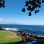 [하와이] 마우이섬의 숙소 - 와일레아 비치 메리어트 마우이(Wailea Beach Resort - Marriott, Maui)