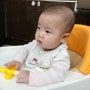 비글 남매 이야기 (6개월 아기, 7개월 아기, 아기 발달) :: 1부