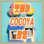 펫페어 COCOYA 대박이 촬영~!!