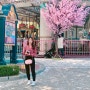 결혼하고 첫 벚꽃 구경 :) 대구 이월드 벚꽃축제