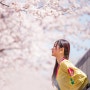 봄봄봄~ 벚꽃축제 사진들로 본 이런저런 이야기들