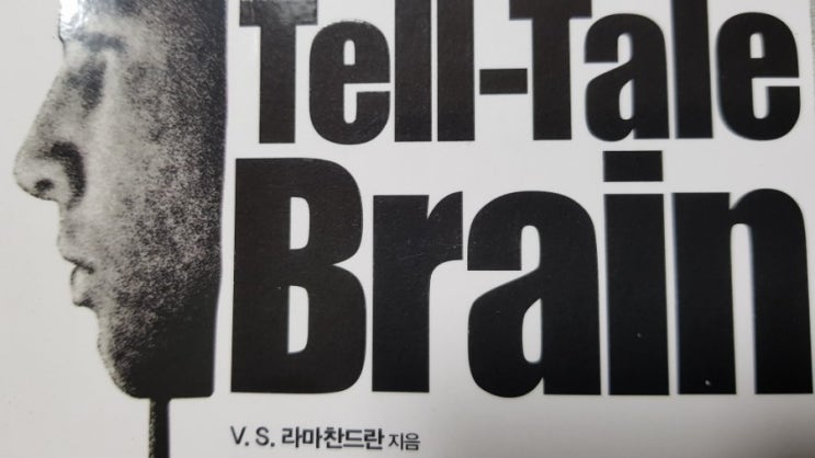 [명령하는 뇌 착각하는 뇌the Tell-Tale Brain](2010)6장~9장, V.S.라마찬드란. : 네이버 블로그