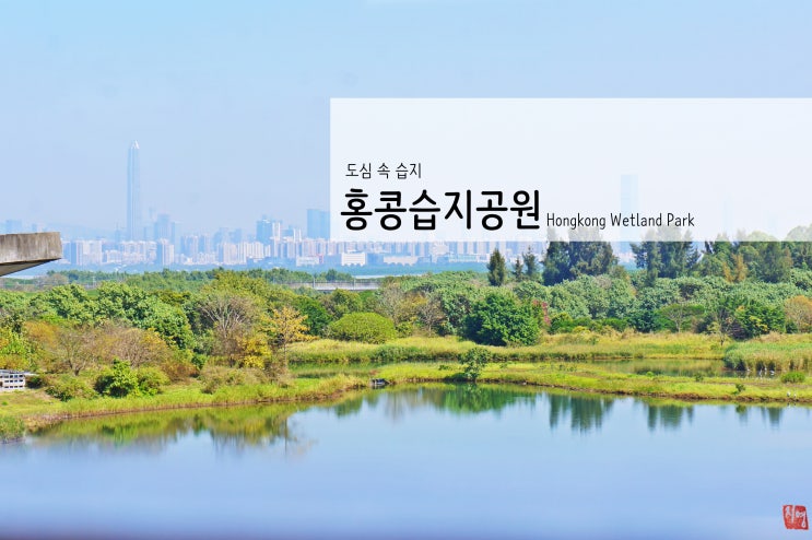 [홍콩여행] 3. 홍콩습지공원 (대중교통 이용)