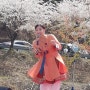 봄의 향기 벚꽃축제