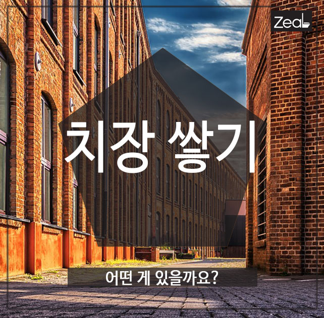 치장 쌓기 어떤 게 있을까요? : 네이버 블로그