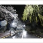 [춘천여행 / 춘천벚꽃] [춘천볼거리] 소양댐 그리고 춘천댐 한수원 벚꽃 야간 꽃구경 ~