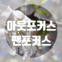 [캐논 미러리스 EOS-M10] 심도 조절 기능 이용하기(조리개)