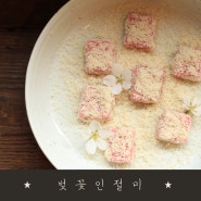 봄을 담은 벚꽃 인절미 디저트 (청담떡카페)