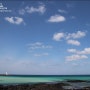 제주가볼만한곳 ~ 사진찍기 너무 예쁜 제주바다 세화해변