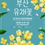 [부산 가볼만한 곳] 대저생태공원 유채꽃 축제 나들이