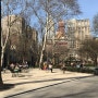 4월 둘째주 메디슨 스퀘어 공원 (Madison Square Park)