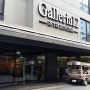 태국 한인 상가 인근의 호텔 "갤러리아 12" - 로비와 외관