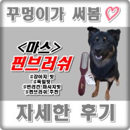 강아지 핀브러쉬는 역시 마스 핀브러시! 매일 같이 강아지 마사지하기 - 반려견 털관리 방법 및 강아지 빗 추천