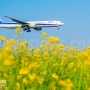 비행기와 꽃, Flower Series, 2018 / 항공기 사진가 이장수