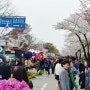 여의도 윤중로, '벚꽃축제' 첫 발걸음