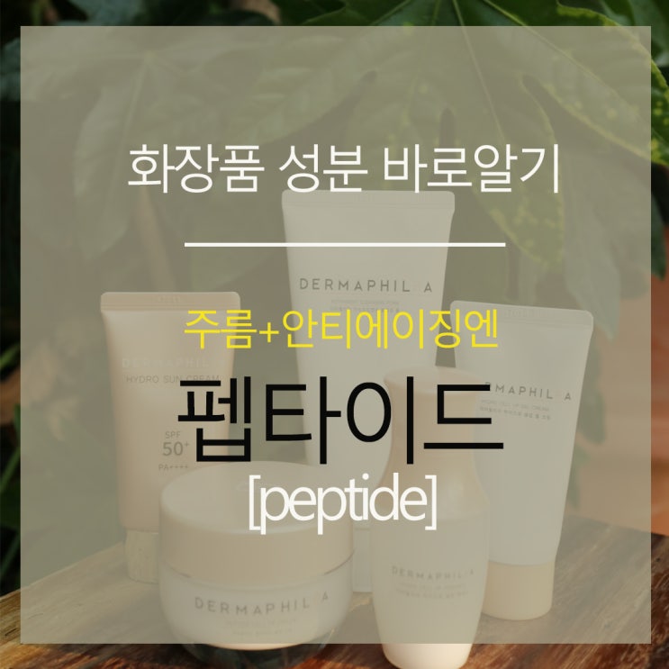 [화장품 성분] 펩타이드 효능효과가 뭔가요? : 네이버 블로그