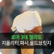 로마 3대 젤라또 맛집을 소개합니다! 지올리티, 파시, 올드브릿지