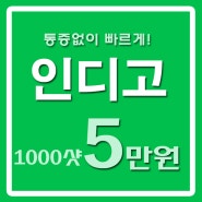 리디아피부클리닉 인디고리프팅