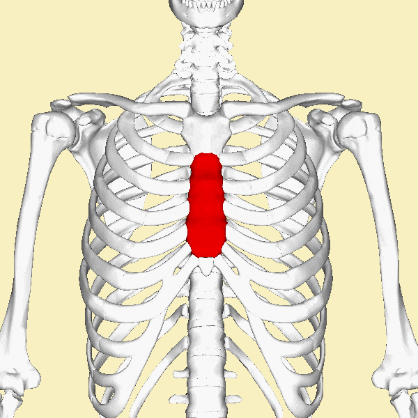 기지개를 켜는데 가슴통증이? 늑골흉골증후군 네이버 블로그