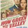 나의 계곡은 푸르렀다 (How Green was My Valley, 1941)